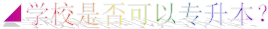 ◢杏宇是否可以专升本？