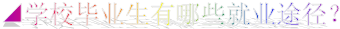 ◢杏宇毕业生有哪些就业途径？